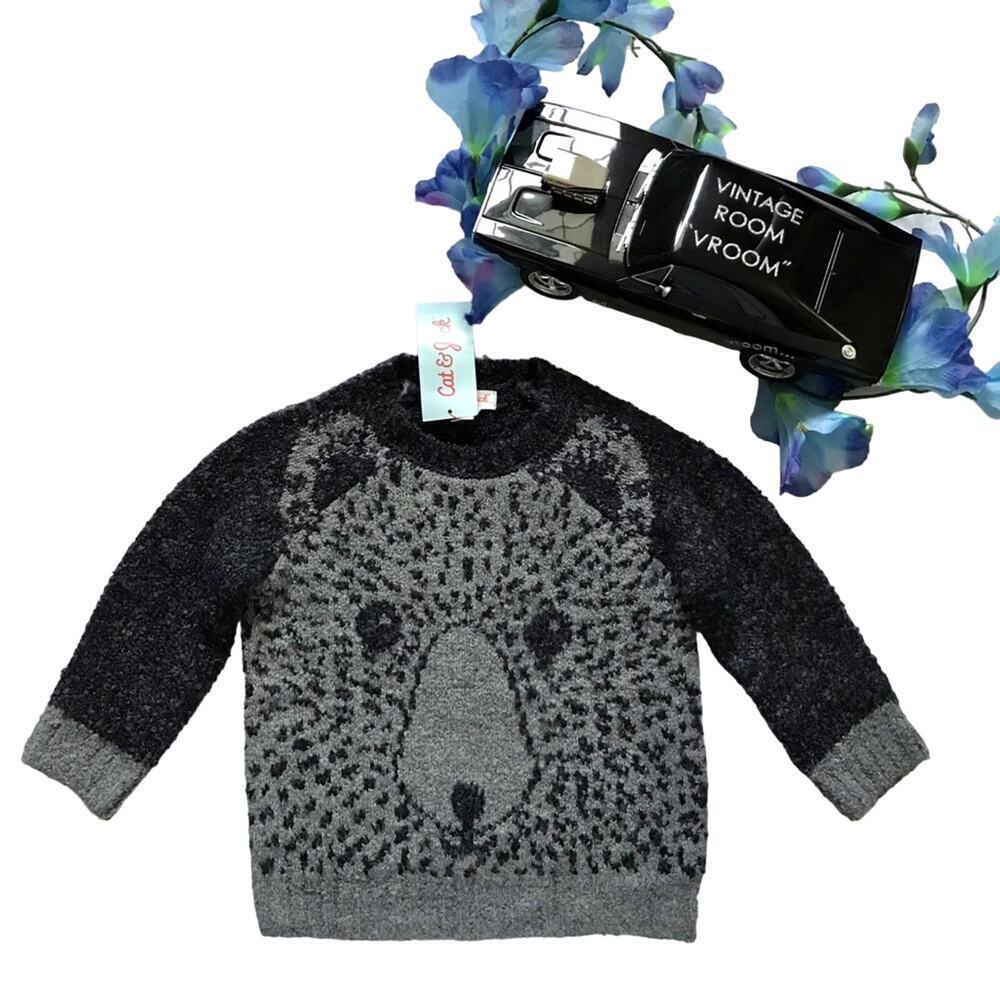 Cat & Jack NWT Sweater for Boys 18M